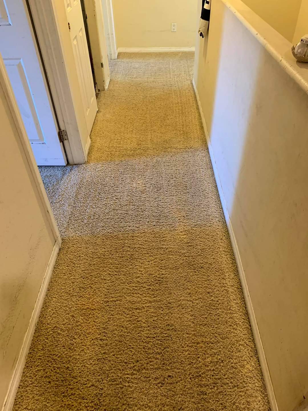 Carpet Cleaning after  5